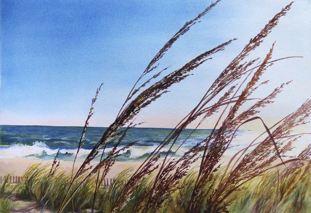 Sea Grass & Morning Sun