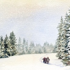 Winter Walk